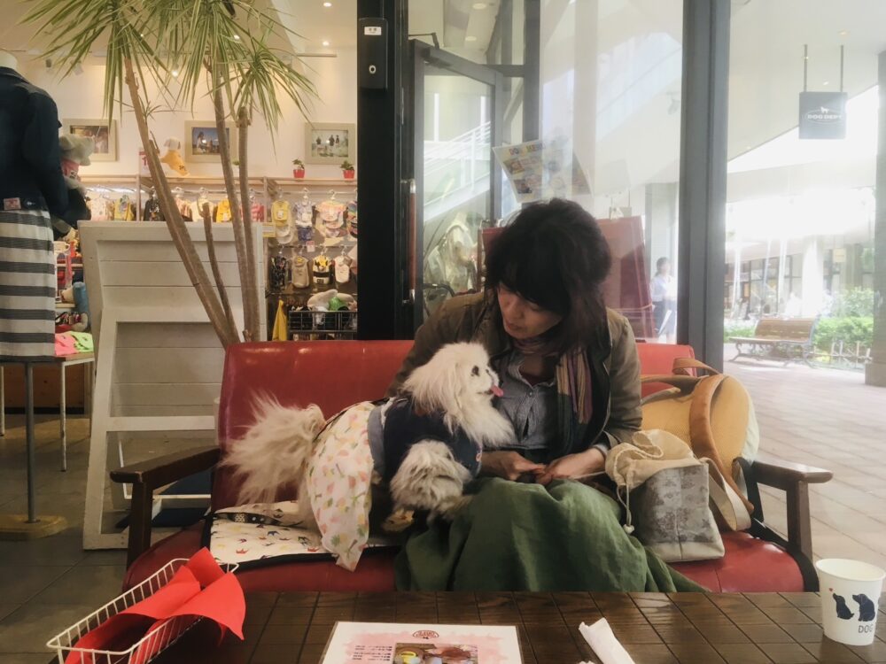 ふみちゃんと椿ちゃん