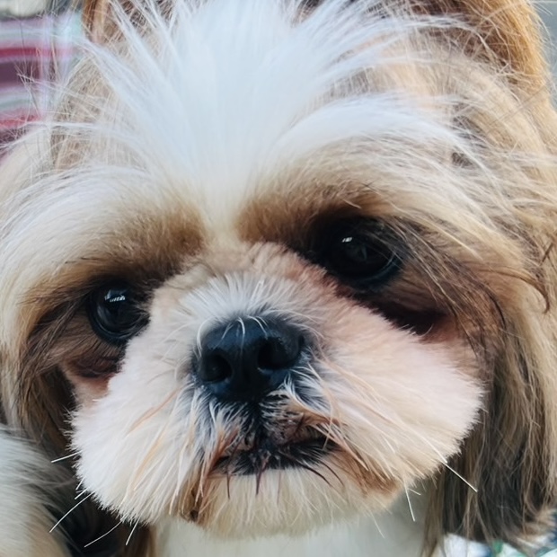 ふみちゃんの柚ちゃん①