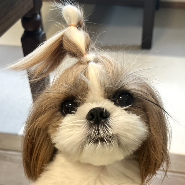 ふみちゃんの柚ちゃん②