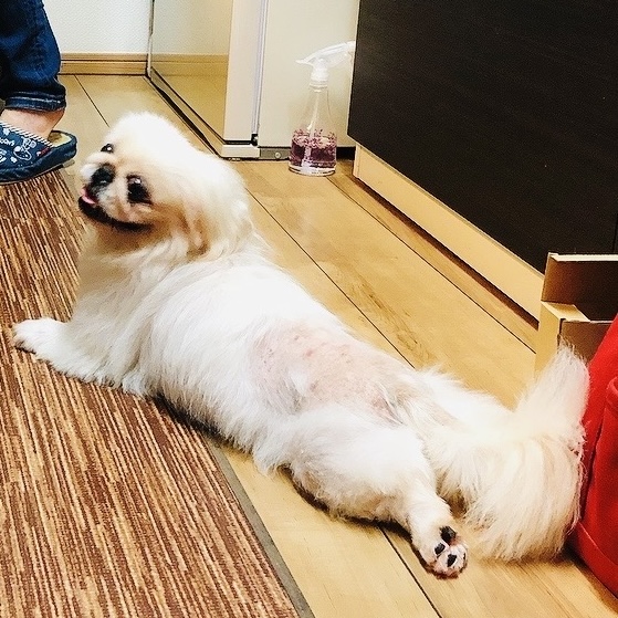 ふみちゃんの凜ちゃん①