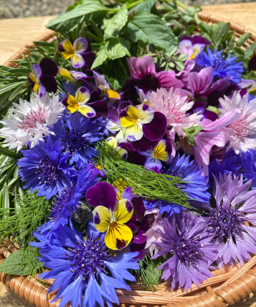 倫子ちゃんハーブ